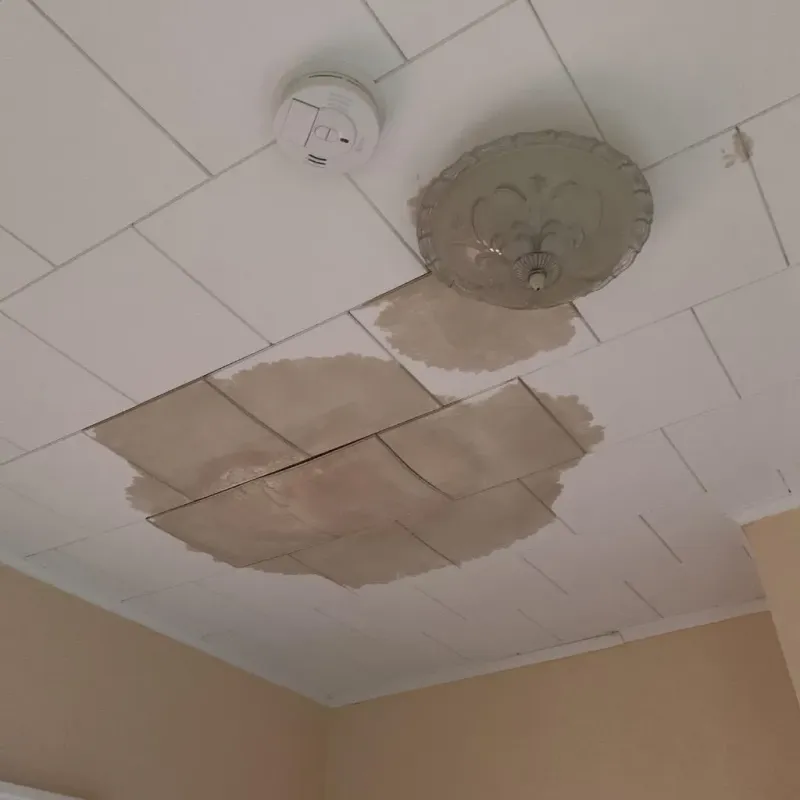 Ceiling Water Damage Repair in Wilkin County, MN