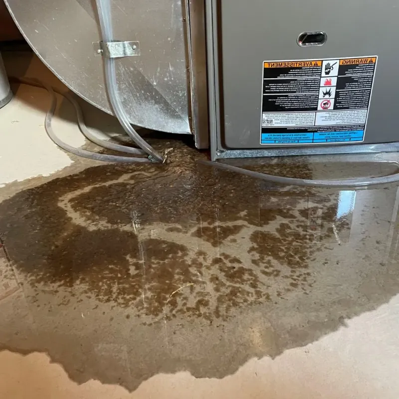Pipe Burst and Leak Restoration in Wilkin County, MN