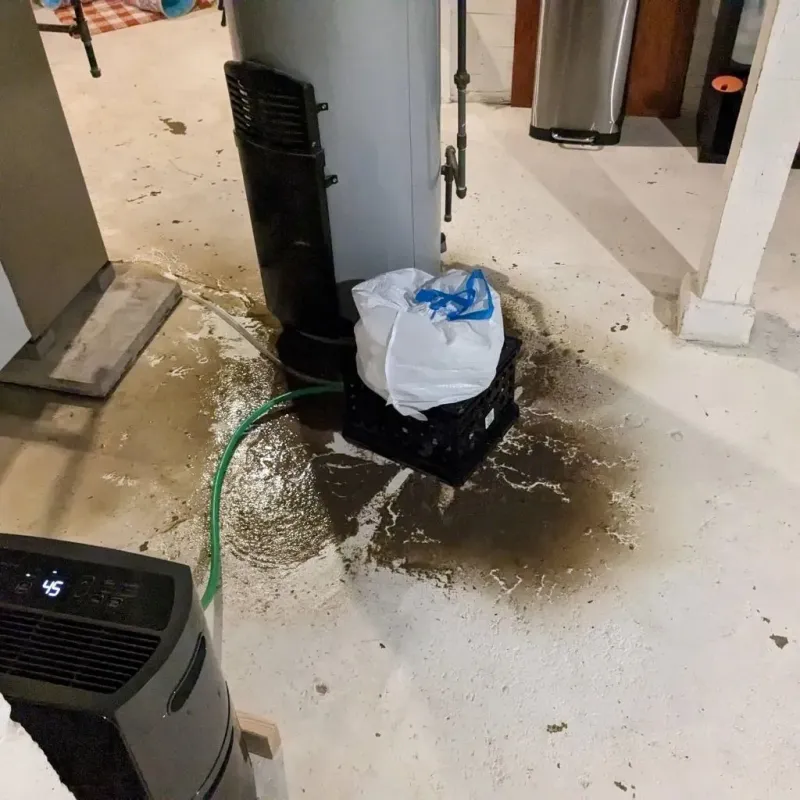 Sewage Backup Cleanup Service in Wilkin County, MN